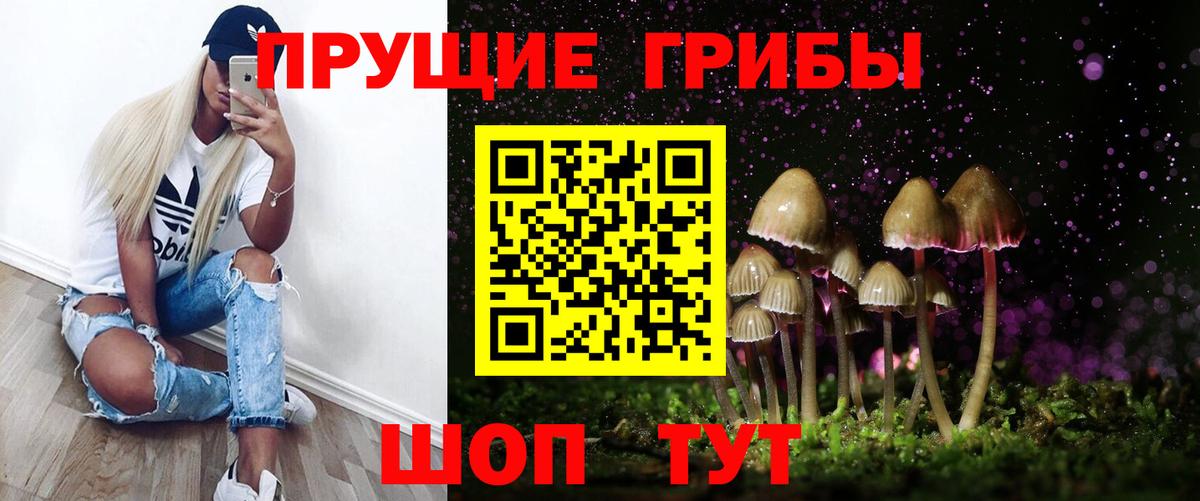 Псилоцибиновые грибы Psilocybe Чайковский