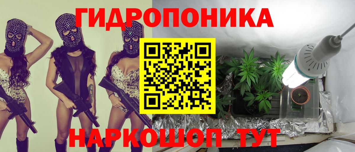 Бошки Шишки марихуана Чайковский